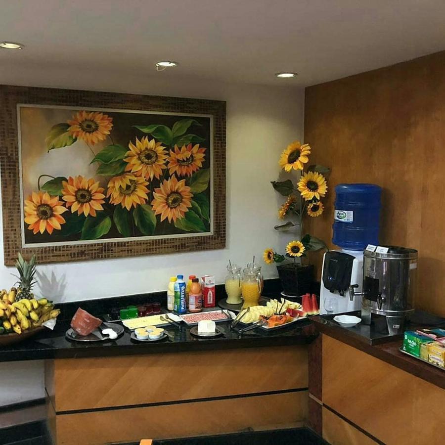 Horto Executivo Hotel Ipatinga Kültér fotó